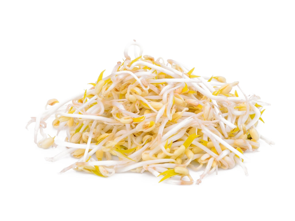 Diente de Dragón 1Kg
