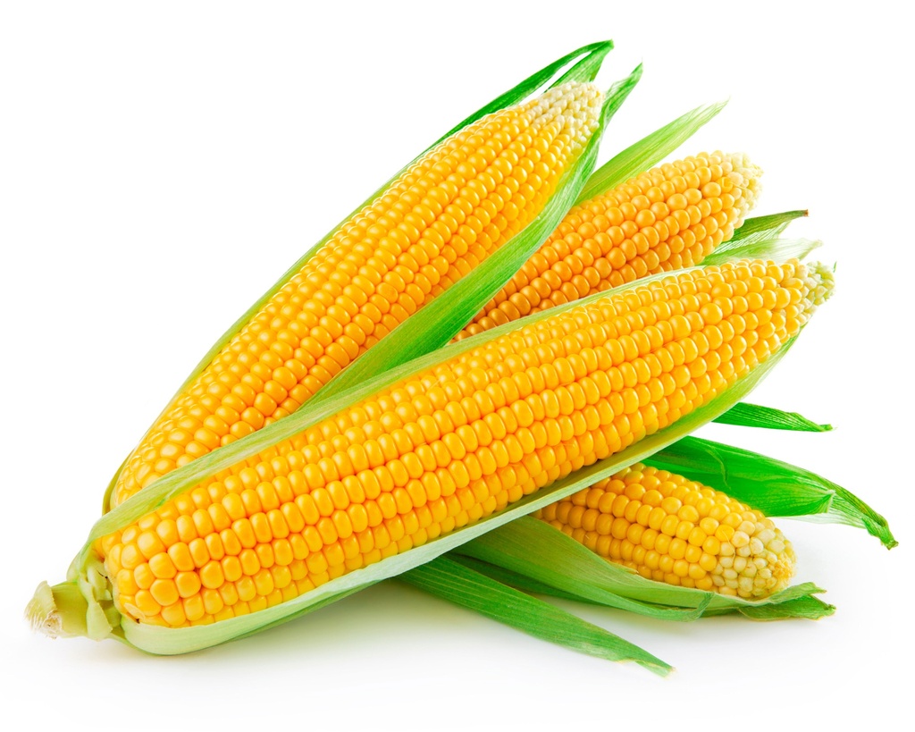 Choclo Americano 1UN