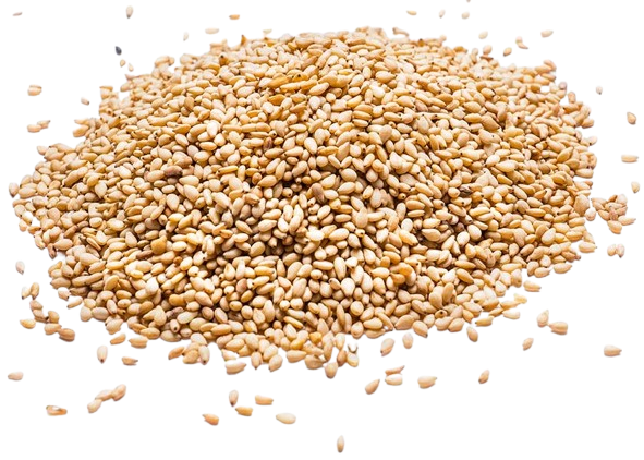 Sésamo Tostado 500g