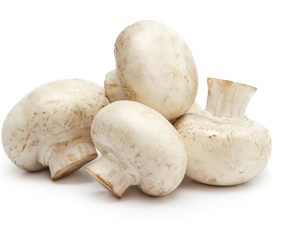 Champiñón 1Kg