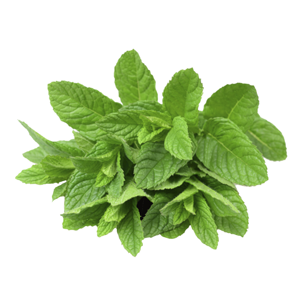 Menta 1Kg