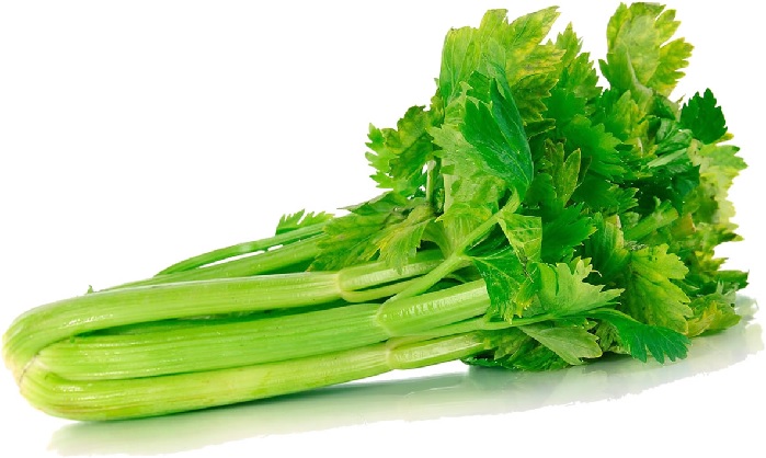 Apio Ensalada 1UN