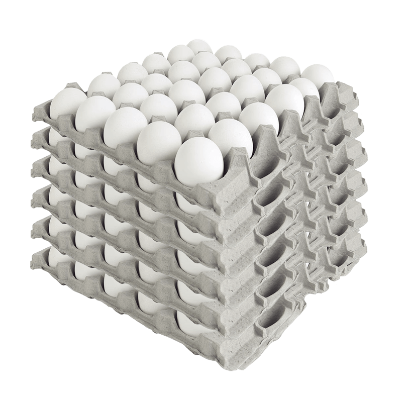 Huevo Extra Blanco caja 180UN