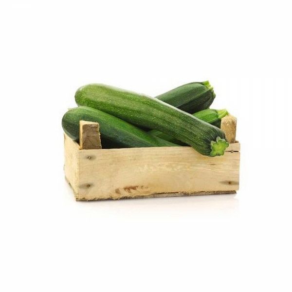 Zapallo Italiano caja 45UN