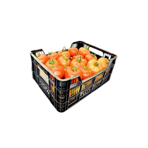 Tomate Gamela 17Kg