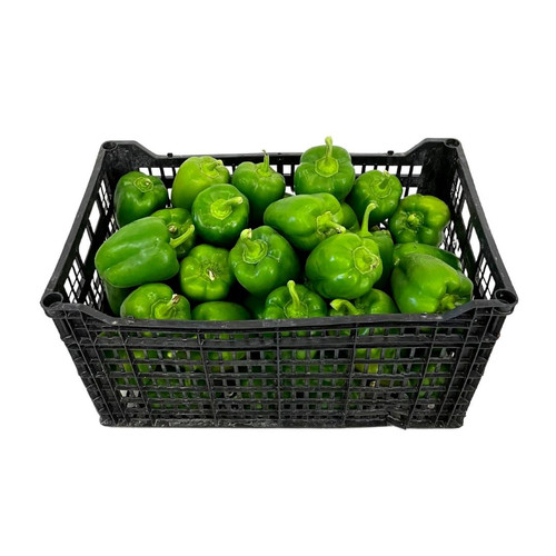 Pimiento Verde caja 45UN