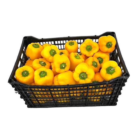 Pimiento Amarillo caja 45UN