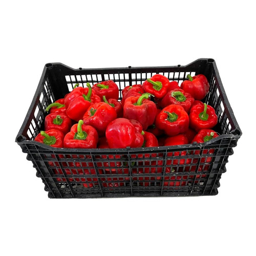 Pimiento Rojo 1ra caja 45UN