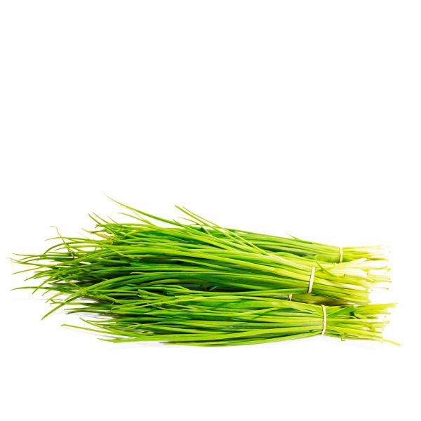 Ciboulette 12UN