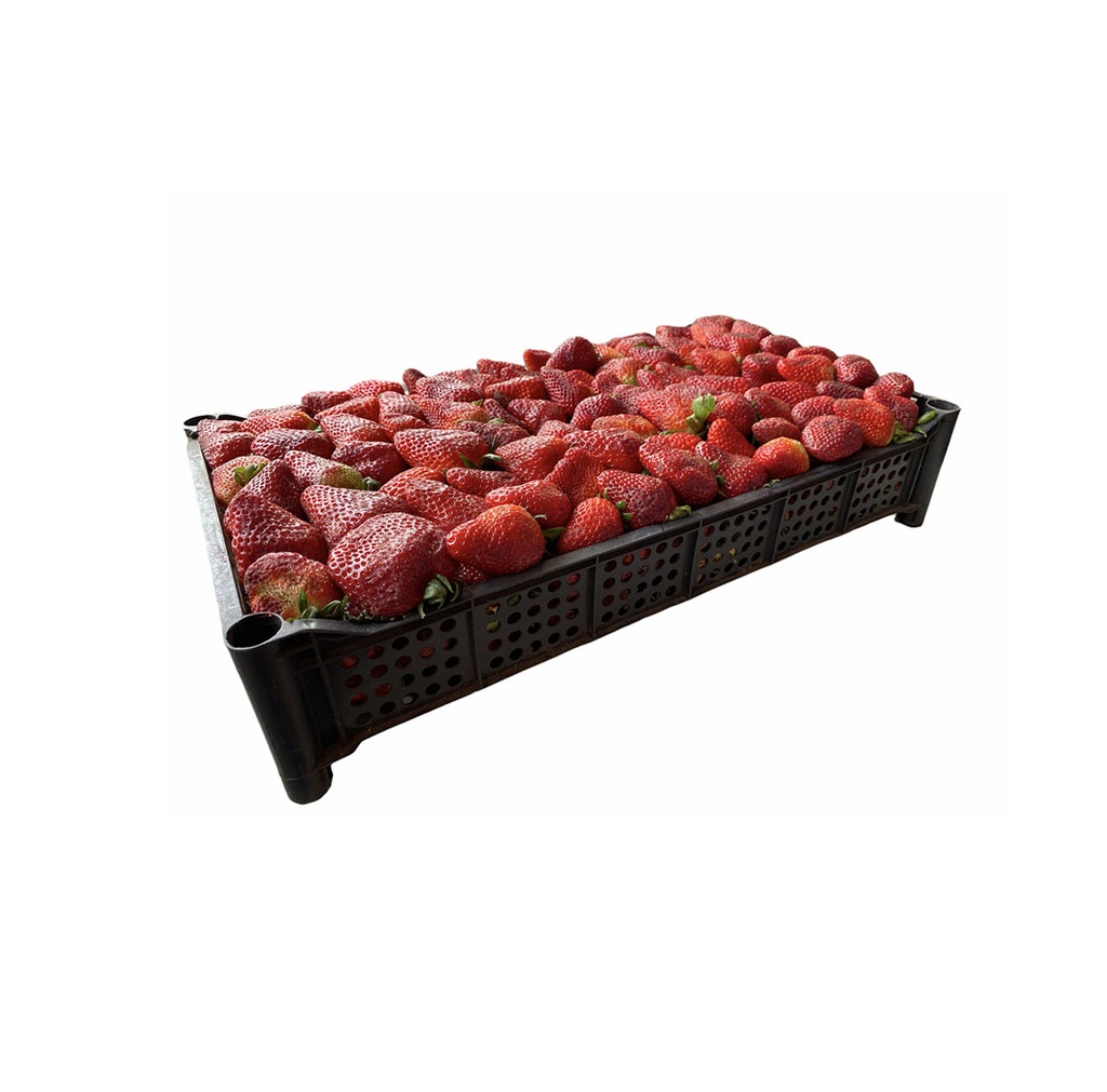 Frutilla caja 7Kg