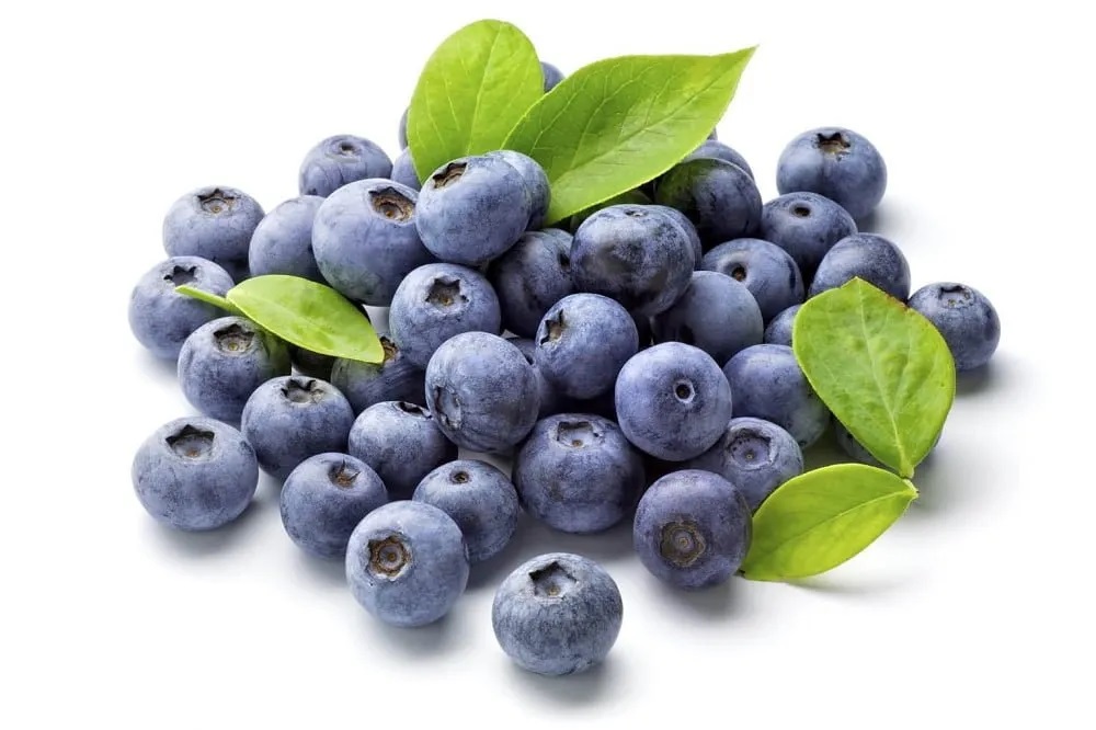 Arándano 500g